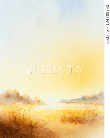 冬の空と野原の風景　AI画像 134789242