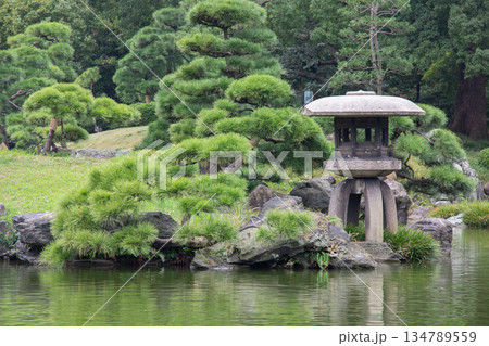 清澄庭園の石灯籠と松 池のほとりに配置された庭園の景観 清澄庭園の石灯籠と松 池のほとりに配置された庭園の景観 134789559