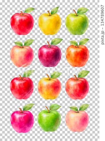 色彩繽紛的蘋果插圖 134789607