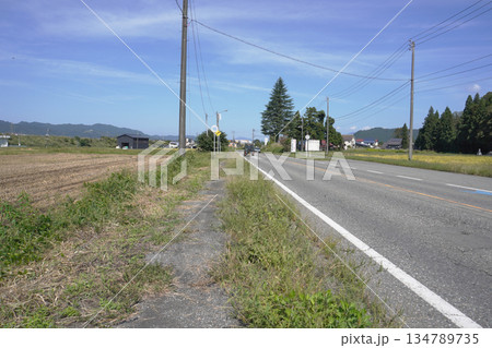 雑草に埋もれた歩道04 134789735