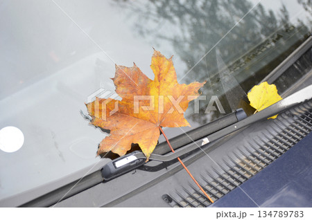 An orange maple leaf lies on the car windshield. Beauty in nature An orange maple leaf lies on the car windshield. Beauty in nature 134789783
