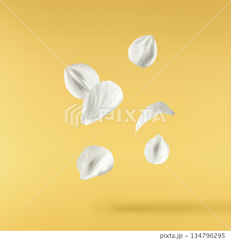 Beautiful spring cherry flowers falling in the air Beautiful spring cherry flowers falling in the air 134790295