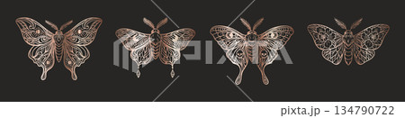 Mystic rose gold moths boho celestial gothic tattoo set on black background Mystic rose gold moths boho celestial gothic tattoo set on black background 134790722