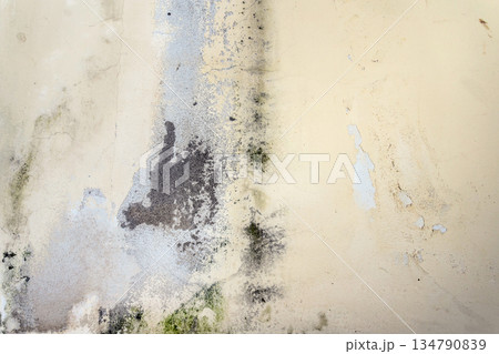 Mold and humidity on the wall 134790839