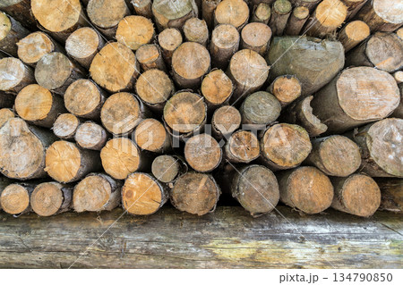 Pile of Firewood Background Pile of Firewood Background 134790850