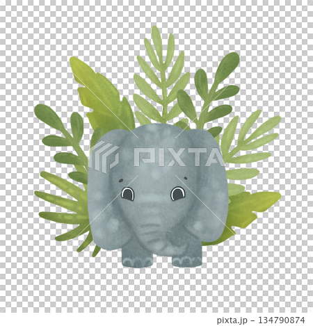 Baby elephant in tropical leaves, composition. Cartoon illustration in a flat style. Watercolor, pastel, gouache. Green, gray. For design of children's products, prints, packaging, textiles, wallpaper Baby elephant in tropical leaves, composition. Cartoon illustration in a flat style. Watercolor, pastel, gouache. Green, gray. For design of children's products, prints, packaging, textiles, wallpaper 134790874