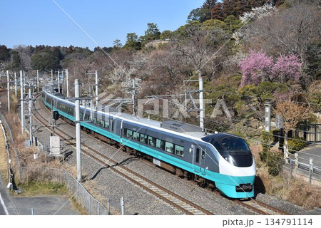 E657系グリーンレイクと偕楽園 134791114