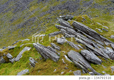 Gray rocks are scattered on a slope covered with green moss. The rocks are sharp and jagged, creating a rugged terrain in County Kerry, Ireland during the daytime. Gray rocks are scattered on a slope covered with green moss. The rocks are sharp and jagged, creating a rugged terrain in County Kerry, Ireland during the daytime. 134791510