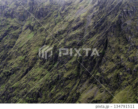 A steep mountainside features green moss growing on rocks. Grey cliffs and ravines cut through the terrain. 134791511