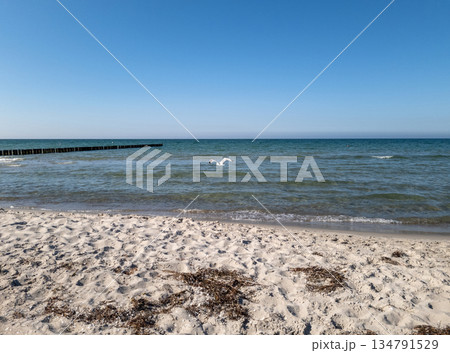 Beach of Zingst, Germany Beach of Zingst, Germany 134791529