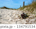 Beach of Zingst, Germany 134791534