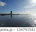 The Wadden Sea near Buesum, Germany 134791541