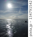 The Wadden Sea near Buesum, Germany 134791542