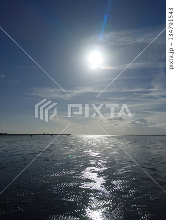 The Wadden Sea near Buesum, Germany The Wadden Sea near Buesum, Germany 134791543