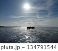 The Wadden Sea near Buesum, Germany 134791544