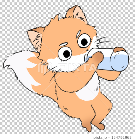 狐狸補水 134791965