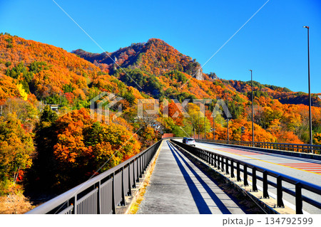 丸岩大橋／八ッ場あがつま湖 道の駅方向を望む(群馬県長野原町)【2025.11】 134792599
