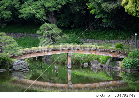 清澄庭園の池に架かる木橋と水面に映る緑が美しい日本庭園の風景 134792748