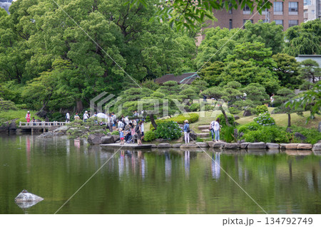 清澄庭園の池のほとりで散策を楽しむ人々と緑に囲まれた日本庭園の風景 清澄庭園の池のほとりで散策を楽しむ人々と緑に囲まれた日本庭園の風景 134792749