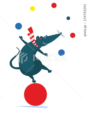 Equilibrist rat or mouse on the big ball juggles the balls illustration. Funny rat or mouse balances on the big ball and juggles the balls isolated on white illustration 134793201