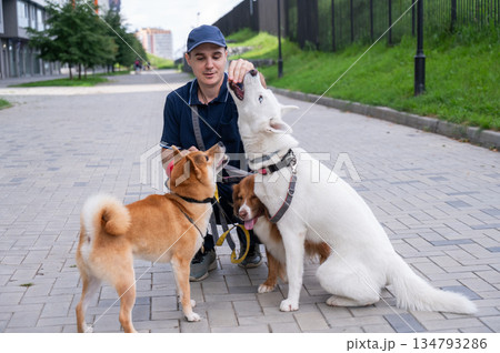A man walks three different dogs. 134793286