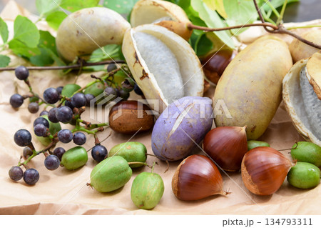 秋の山菜果物 134793311