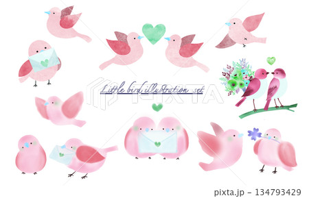 ピンクの小鳥セットイラスト ピンクの小鳥セットイラスト 134793429