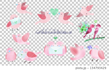 ピンクの小鳥セットイラスト ピンクの小鳥セットイラスト 134793429