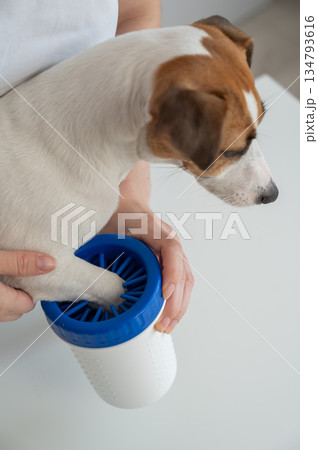 The owner washes the dog's paws in a special device. The owner washes the dog's paws in a special device. 134793616