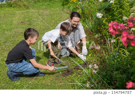Caucasian woman tending her garden with her sons. Caucasian woman tending her garden with her sons. 134794787