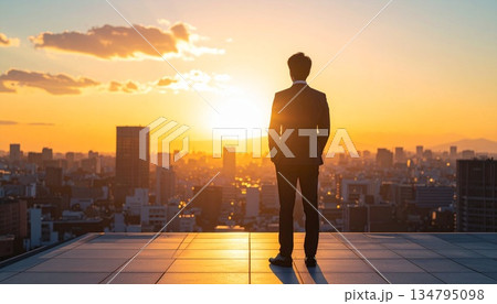 夕焼けを見つめるビジネスマン 夕焼けを見つめるビジネスマン 134795098