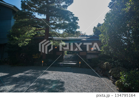 京都の對龍山荘の庭園 134795164