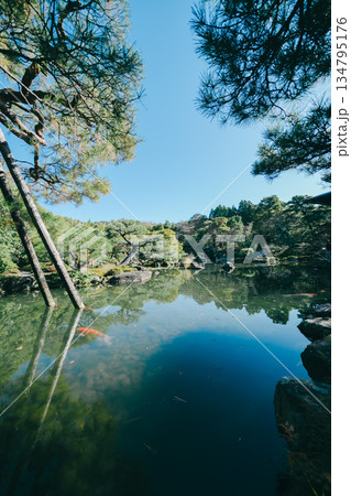 京都の對龍山荘の庭園 134795176