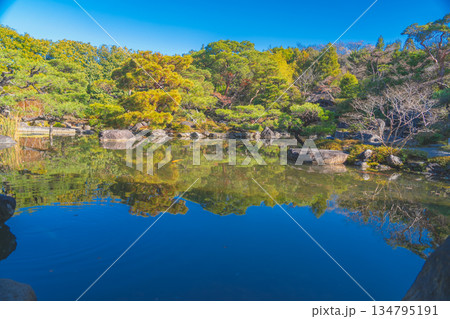 京都の對龍山荘の庭園 134795191