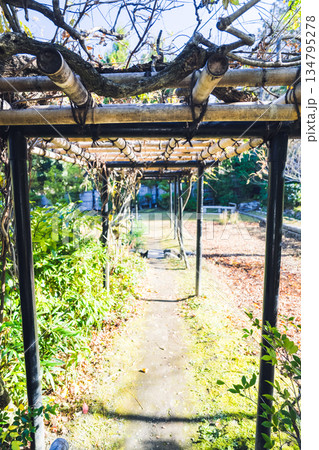京都の對龍山荘の庭園 134795278