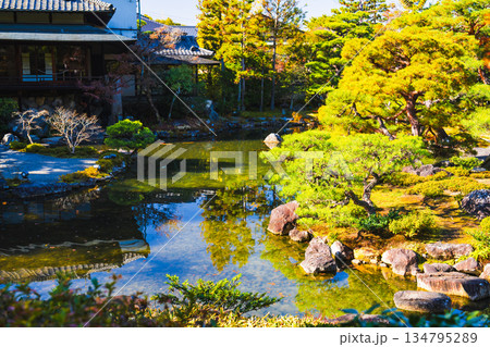 京都の對龍山荘の庭園 京都の對龍山荘の庭園 134795289
