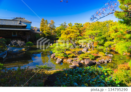 京都の對龍山荘の庭園 134795290