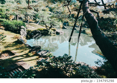 京都の對龍山荘の庭園 京都の對龍山荘の庭園 134795298
