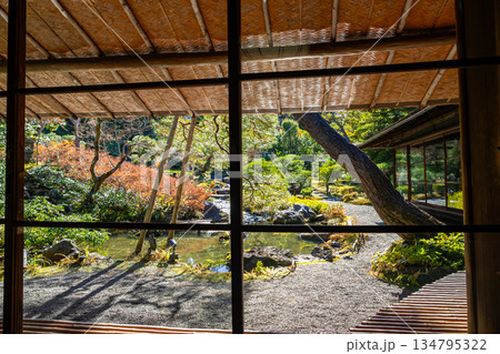京都の對龍山荘の庭園 京都の對龍山荘の庭園 134795322
