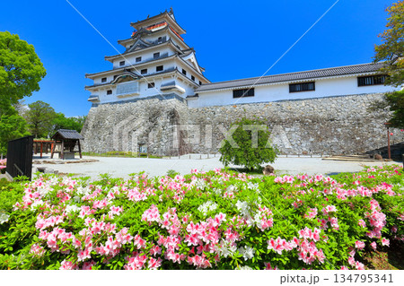 【佐賀県】晴天の唐津城天守閣と満開の躑躅 134795341