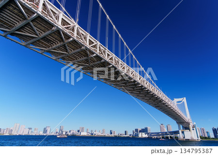 東京湾に掛かるレインボーブリッジ 134795387