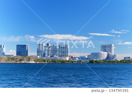 東京臨海副都心　東京湾とお台場の風景 134795391