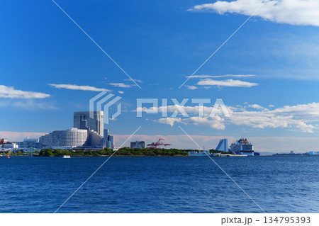 東京臨海副都心　東京湾とお台場の風景 134795393
