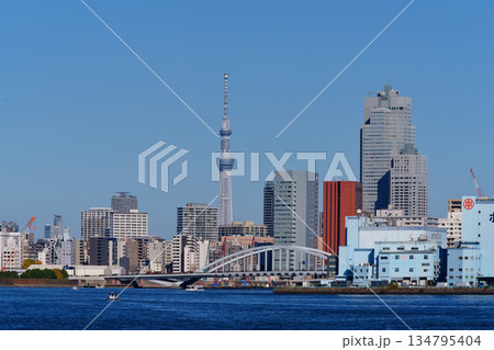 東京湾の海岸の風景 東京湾の海岸の風景 134795404