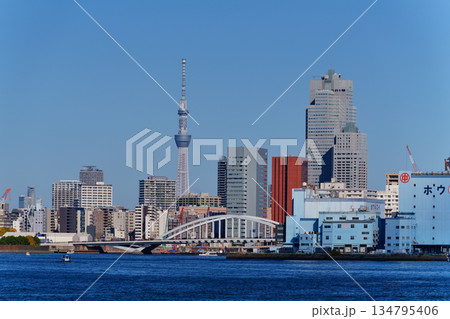 東京湾の海岸の風景 134795406