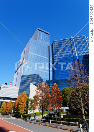 東京 浜松町駅周辺のオフィス街 東京 浜松町駅周辺のオフィス街 134795424