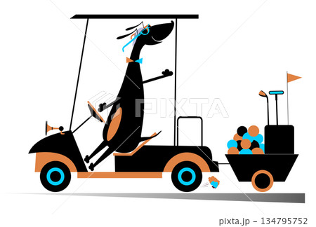 Smiling dog is going to play golf in the golf cart Smiling dog is going to play golf in the golf cart 134795752