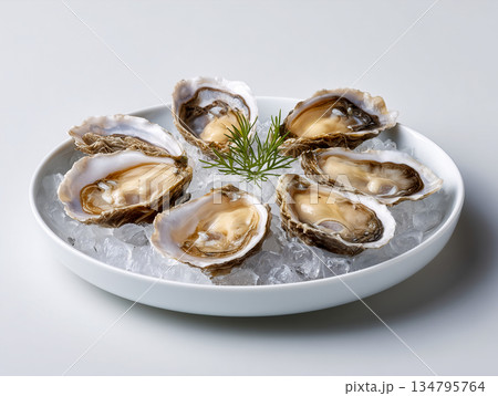 Plate of oysters with a green herb on top 134795764