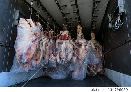 Raw beef carcasses hanging in cold storage truck Raw beef carcasses hanging in cold storage truck 134796089