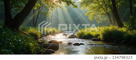 Golden sunlight over a tranquil forest creek with smooth stones - ai generated 134796323
